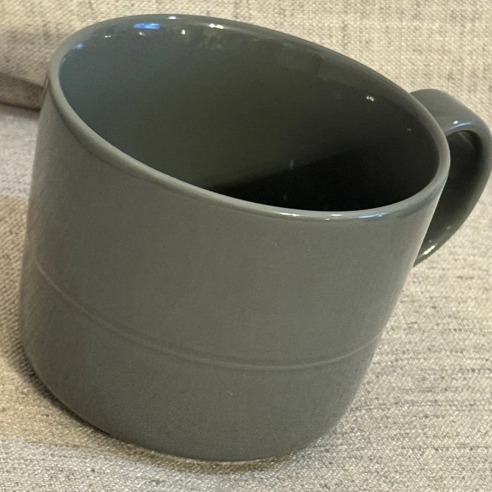 Crate & Barrel Hue Gray 12 ounce Mug by Aaron Probyn glossy
